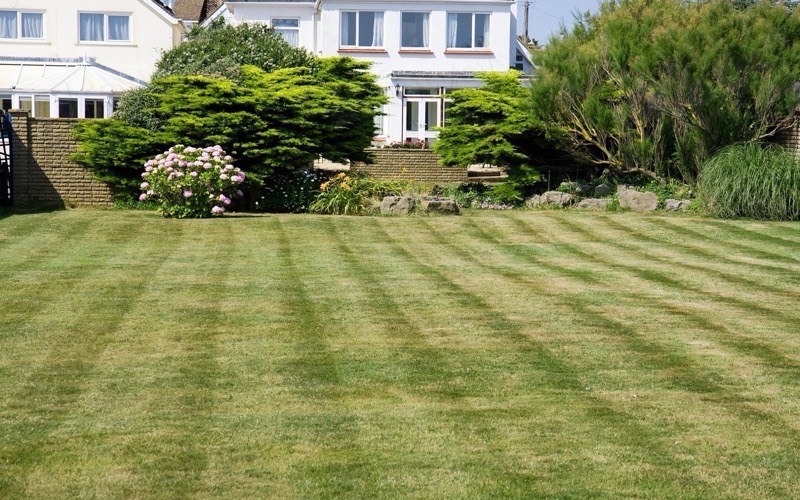 Ridgeline Lawn & Landscape example site: a freshly striped lawn in front of a house.